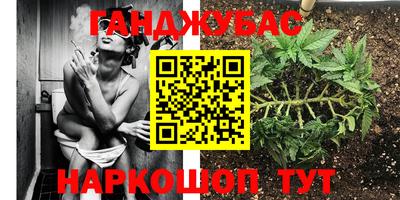 спиды Будённовск